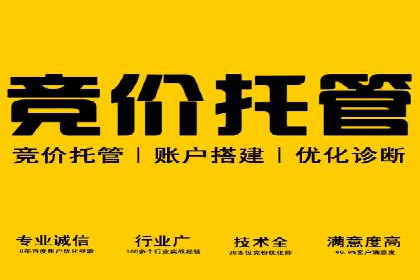 百度竞价与搜索引擎优化（SEO）的协同效应案例